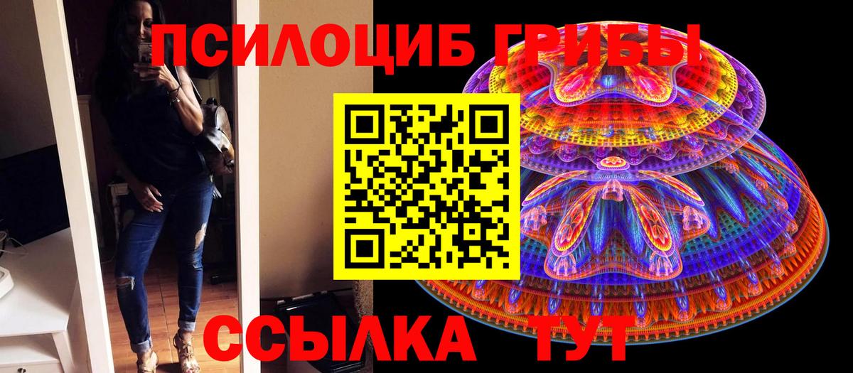 Галлюциногенные грибы мицелий Протвино