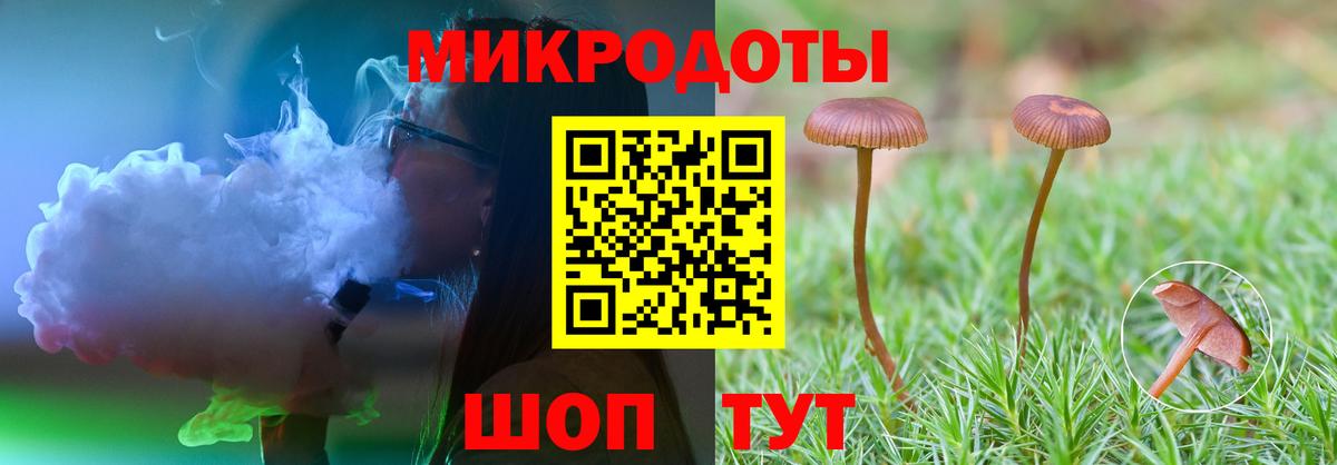 Протвино  Псилоцибиновые грибы прущие грибы  Вход с VPN 