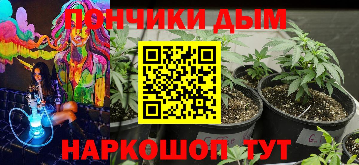 Бошки Шишки сатива  Бошки Шишки сатива  Бошки марихуана MAZAR  Вход с VPN  Протвино 